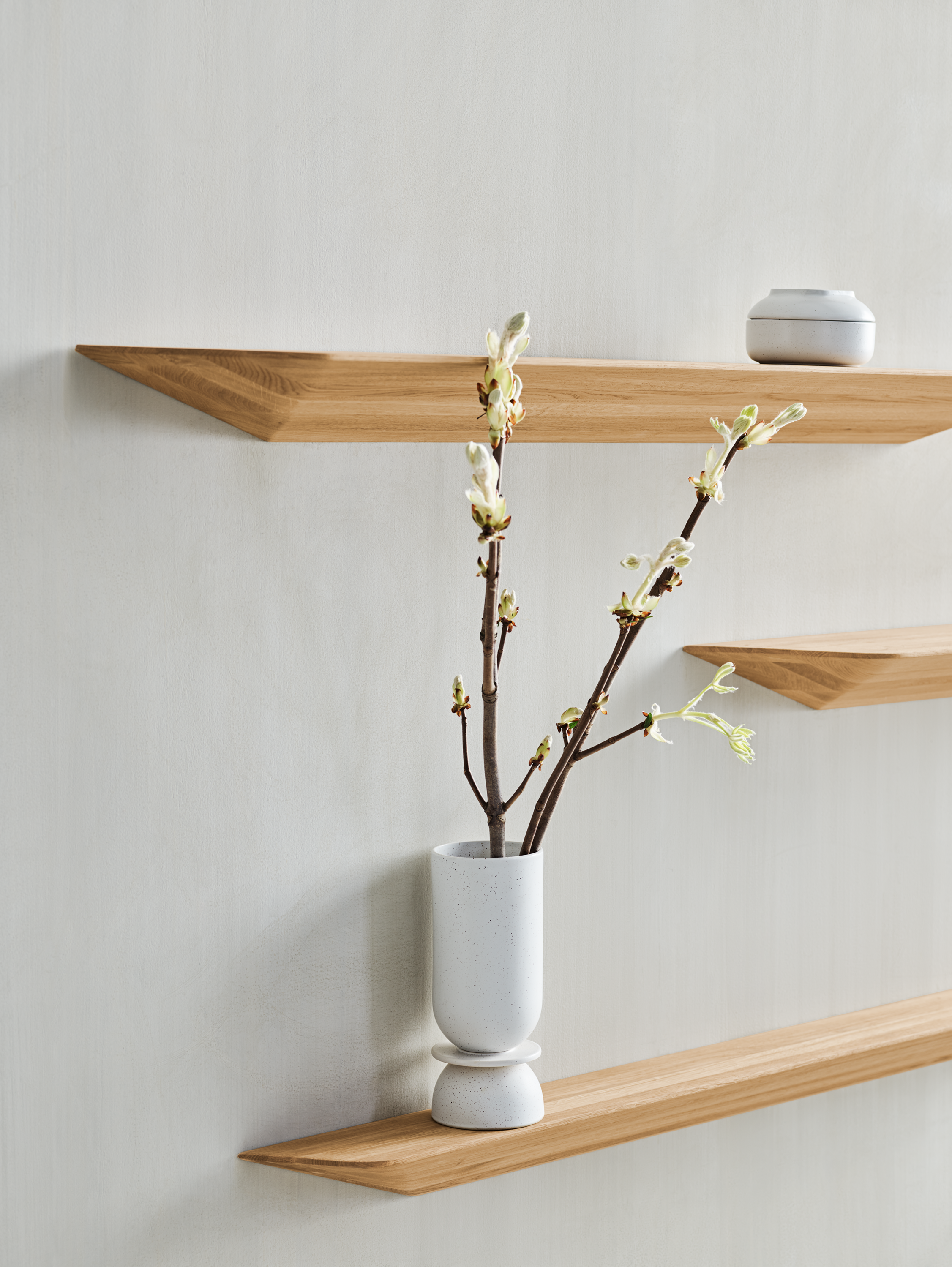 Wall Shelves