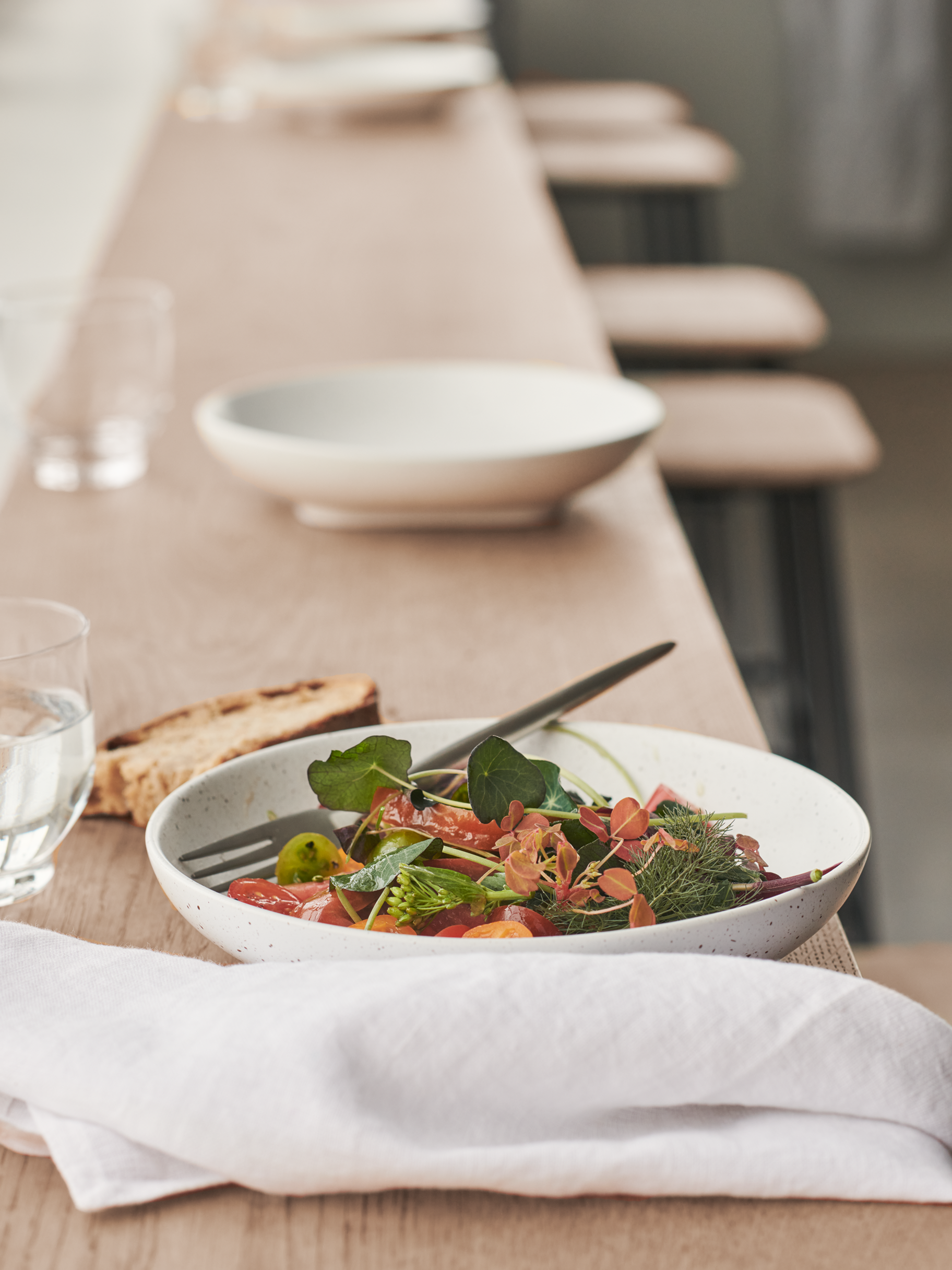 Plane Rectangular Dining Table-4